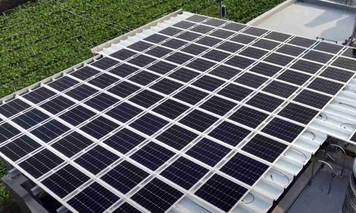 赏金国际SunSteel光电浪板升级双玻结构，，以提升机械负载强度及气候耐候度，，可广泛运用于多元场域